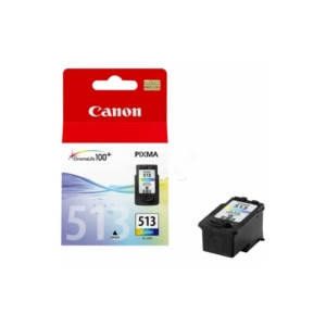 Cartuccia Canon Originale 2971B001 Cartuccia Ink-jet alta resa Chromalife 100+ CL-513 colore