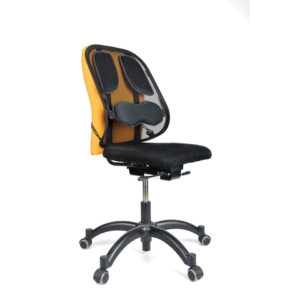 Supporto lombare per sedia in rete Professional Series Fellowes - Nero - 8029901