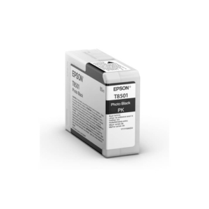 Cartuccia Ink-jet Epson Nero fotografico C13T850100