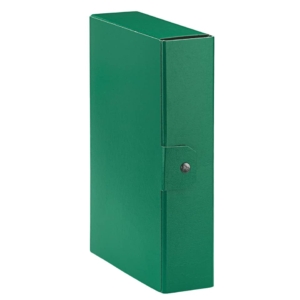 Scatola portaprogetti Eurobox Esselte - Dorso 8 cm - 25x35 cm - Verde