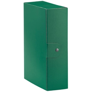 Scatola portaprogetti Eurobox Esselte - Dorso 10 cm - 25x35 cm - Verde - 390330180
