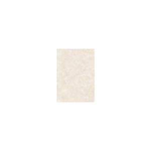 Carta pergamenata Decadry A4 - Avorio- 95g/m² - T105002 (conf.100)