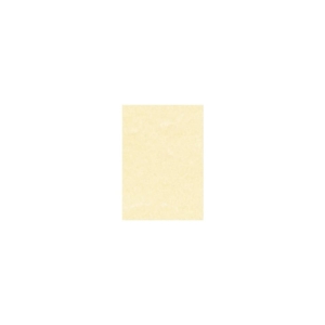 Carta pergamenata Decadry A3 - Champagne - 165g/m² - 29,7x42 cm (conf.25)