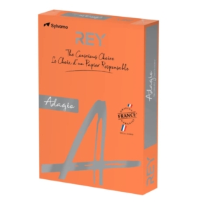 Cartoncini colorati A3 Arancio INTERNATIONAL PAPER Rey Adagio risma 160g/m² - 29,7x42 cm (risma 500 fogli)