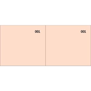 Scontrino colorato a 2 sezioni Data Ufficio blocco 100 copie prenumerate Rosso - DU160000020