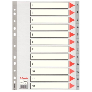 Divisori numerici in PPL per rubrica Esselte - 12 tasti