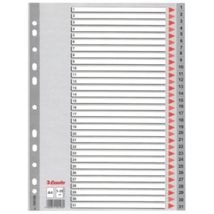 Divisori numerici in PPL per rubrica Esselte - 31 tasti