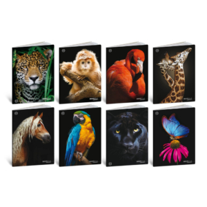 Maxi quaderni Blasetti Animali formato A4 carta 100g/m² - 18+1 fogli - rigatura C - 8633 (conf.10)