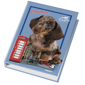 Raccoglitore ad anelli Blasetti - 4 anelli Ø30 - 26x32 cm per fogli A4 - fantasie assortite Cuccioli