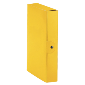 Cartella portaprogetti Esselte C86 DELSO ORDER dorso 6 cm presspan lucido Giallo 25x35 cm - 390386090