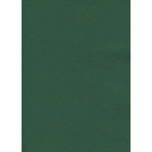 Carta regalo in fogli Rex-Sadoch formato 70x100 cm - Verde - 163 -12 (conf.10)