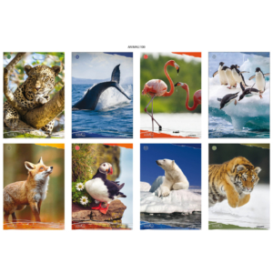 Maxi quaderni Blasetti Animali A4 18+1 fogli carta 100 g/m² - rigatura 4 mm con margine - 8206 (conf.10)