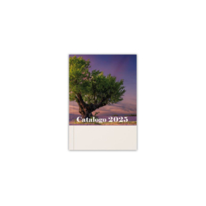Catalogo Office 2025 - copertina Vecchia Quercia - CAL2504