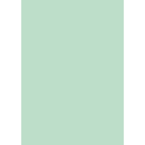 Cartellina semplice Brefiocart Color 24,5x35 cm cellulosa 200 g/m² verde menta chiaro - 0205510.VC (conf.50)