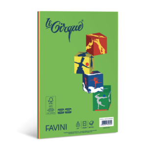 Carta colorata Favini Le Cirque Mix A4 80 g/m² risma da 100 fogli in 5 colori forti assortiti - A71X124