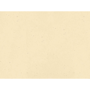 Tovagliette Ristocart in carta paglia neutra tinta in massa 30x40 cm - verde - WRTVT1138 (conf.250)