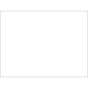 Tovagliette Ristocart in carta bianca liscia 55 g - 30x40cm EYTVT1157 (conf.250)