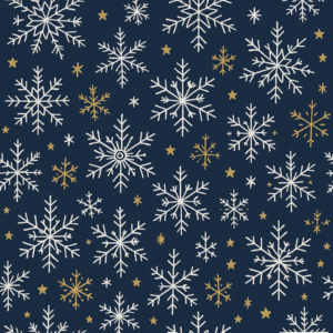 Busta in PPL perlato Italpak - 35x50 cm fantasia natalizia - conf. 100 pz - X461063355017